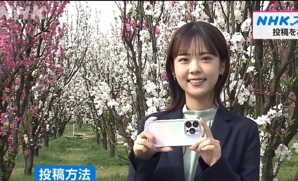 x nhk