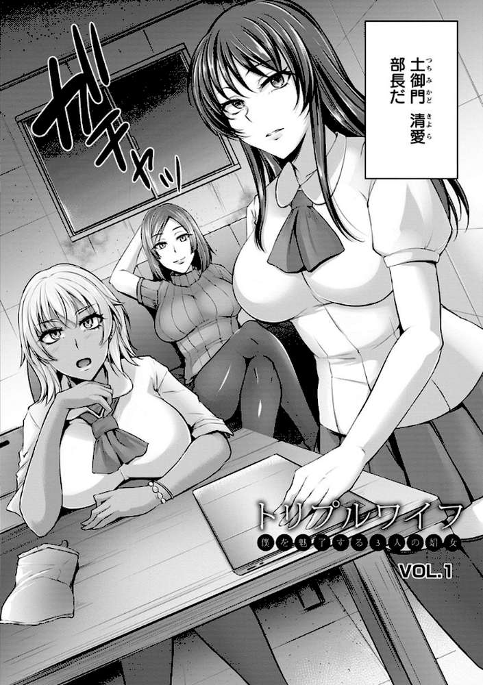 純情トライ淫奔録