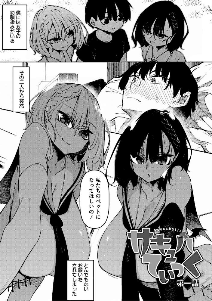 サキュバてぃっく【単行本】 by 復八磨直兎 (p2)