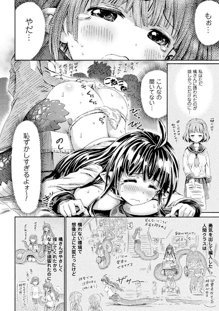 気になるあの娘はモンスター娘