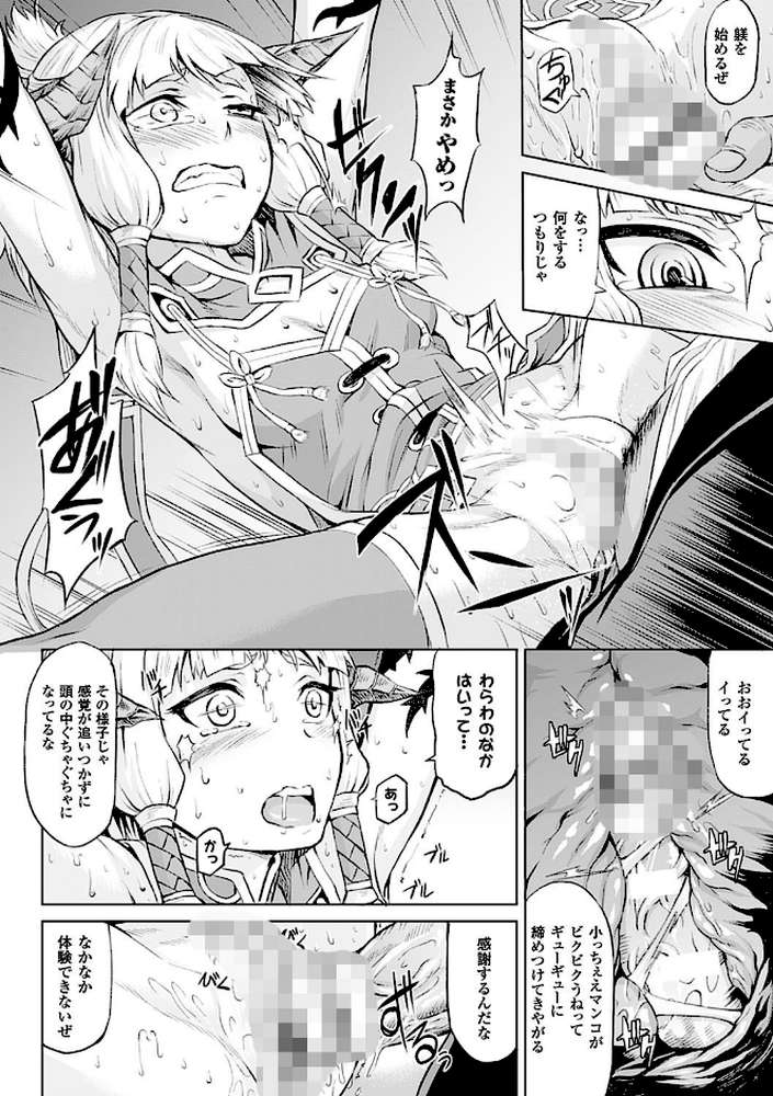 淫堕隷辱