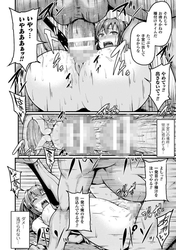 牝堕機姦〜無限淫獄で悶絶する乙女たち〜