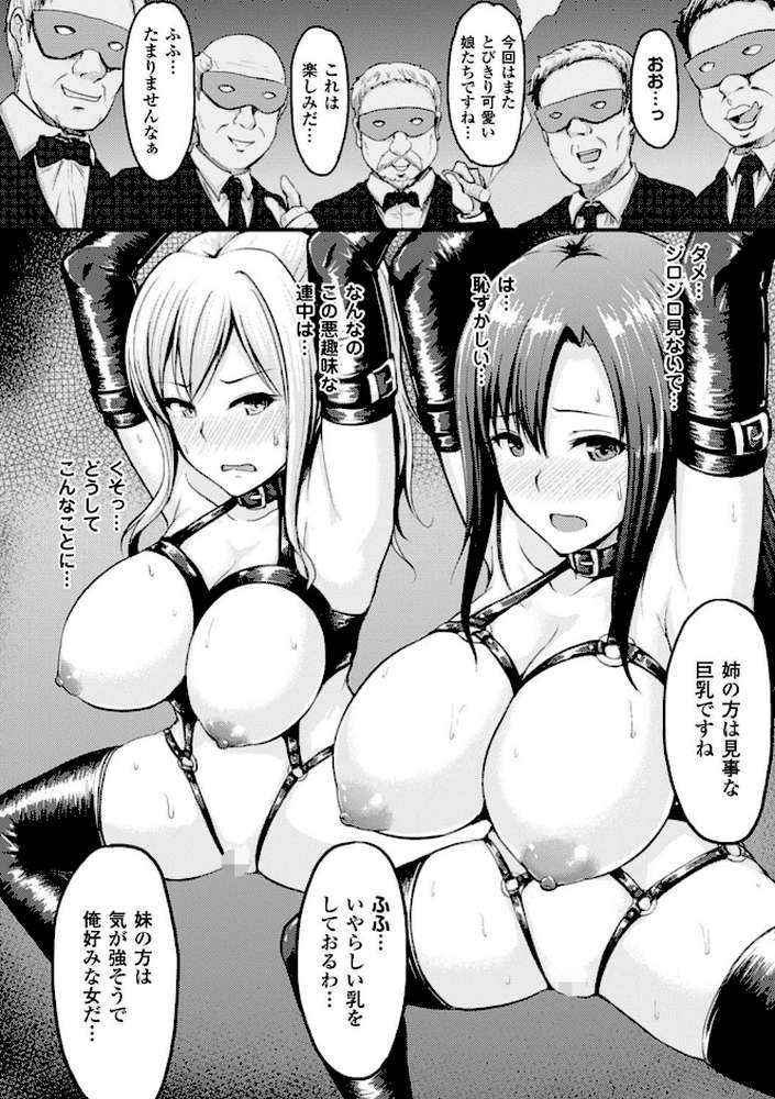 牝堕機姦〜無限淫獄で悶絶する乙女たち〜