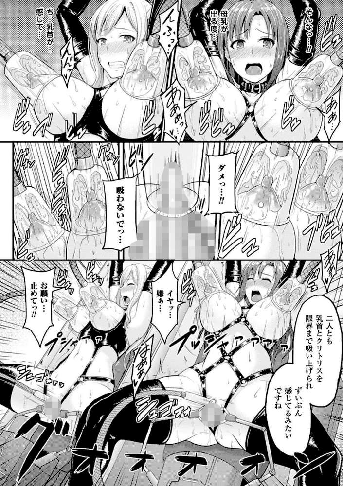 牝堕機姦〜無限淫獄で悶絶する乙女たち〜