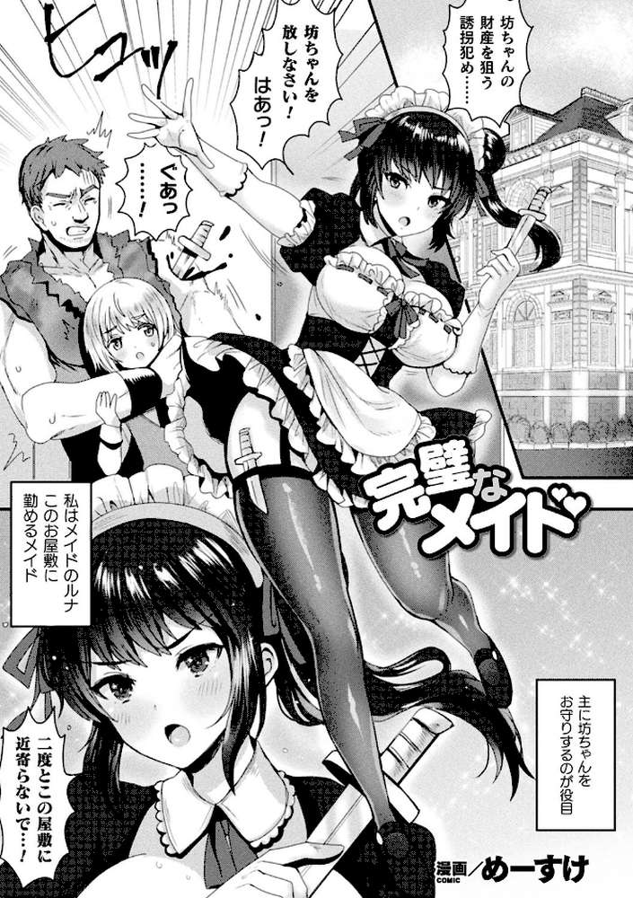 完璧なメイド【単話】