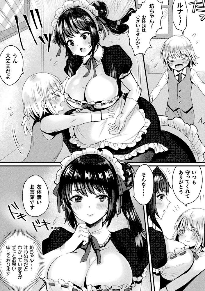 完璧なメイド【単話】