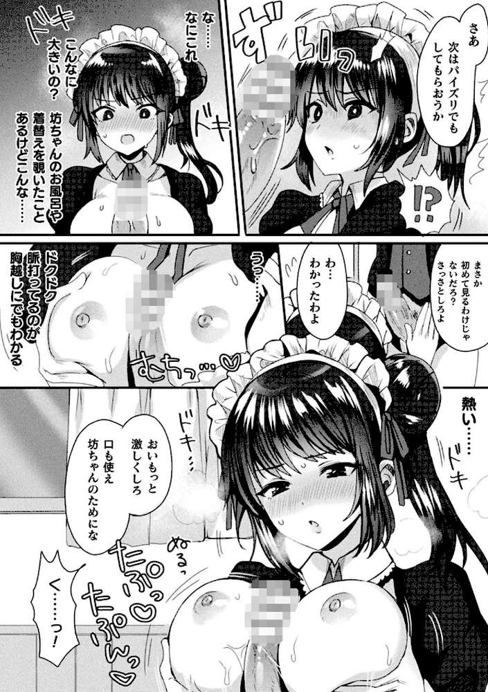 完璧なメイド【単話】