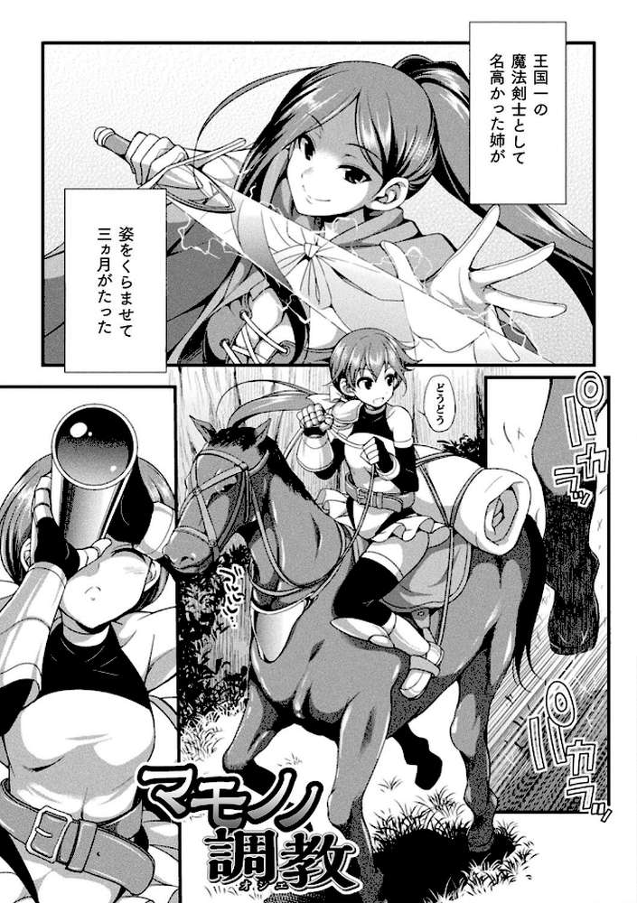 天煌聖姫ヴァーミリオン THE COMIC