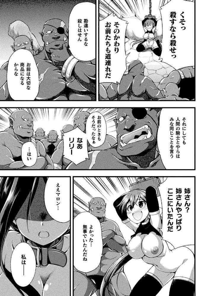 天煌聖姫ヴァーミリオン THE COMIC