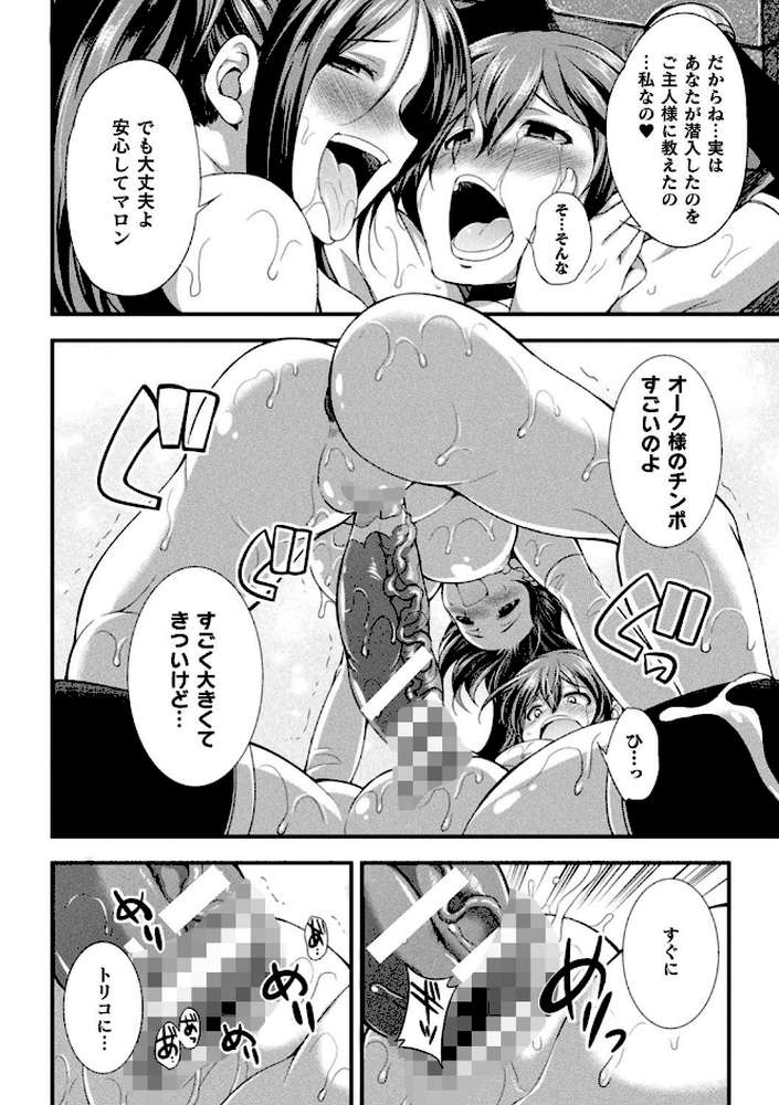 天煌聖姫ヴァーミリオン THE COMIC