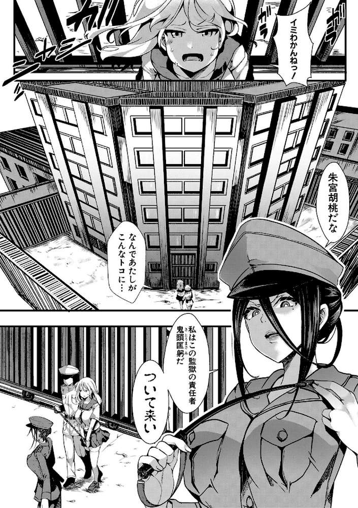 メス穴無法地帯 -問答無用の膣内出し懲役-