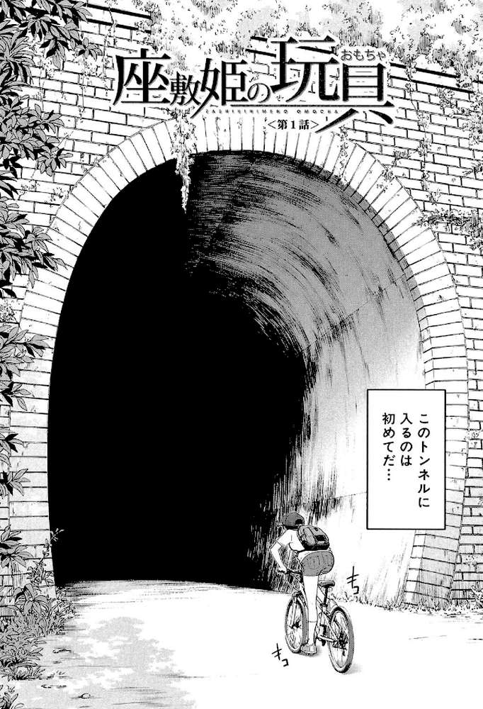 座敷姫の玩具