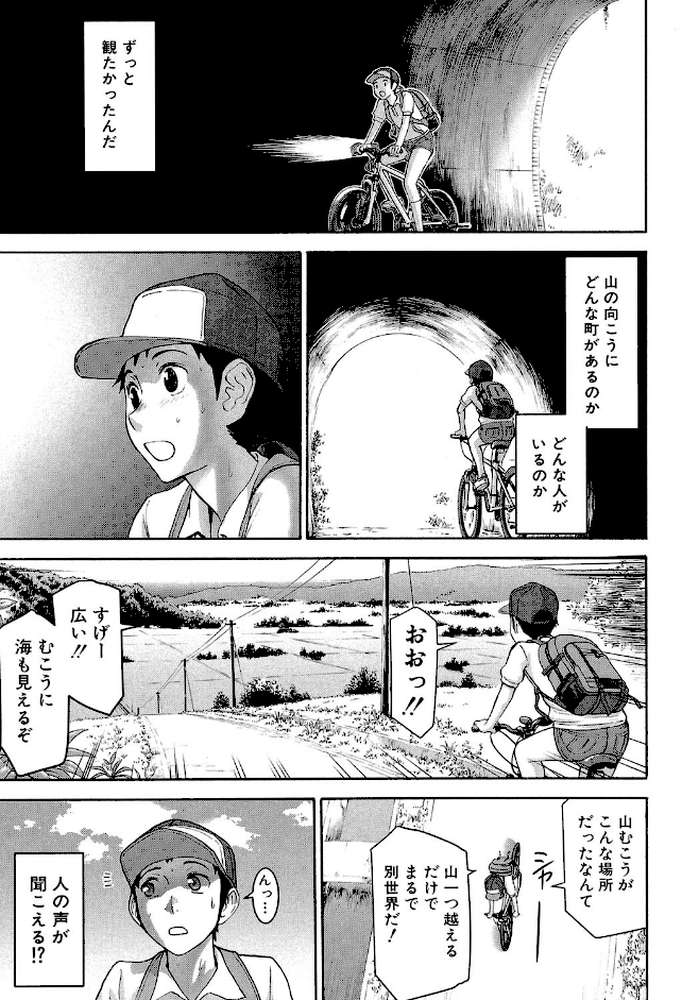 座敷姫の玩具