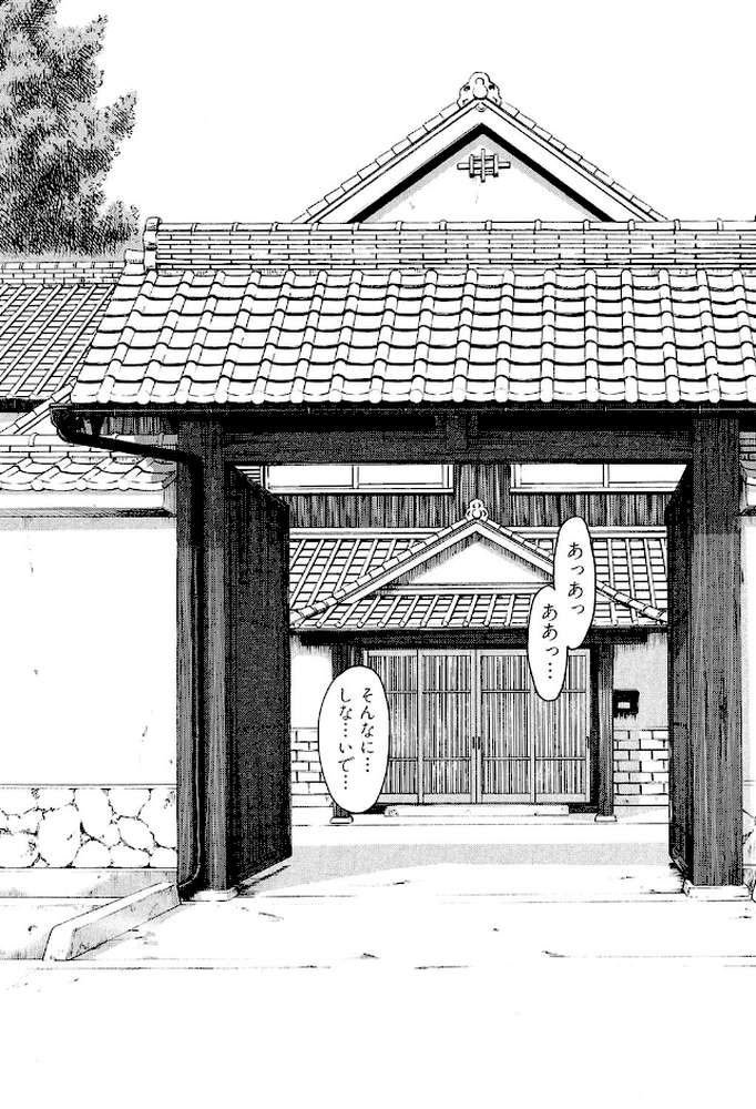 座敷姫の玩具