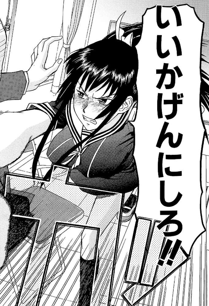 いたずら専用 華比良生徒会長