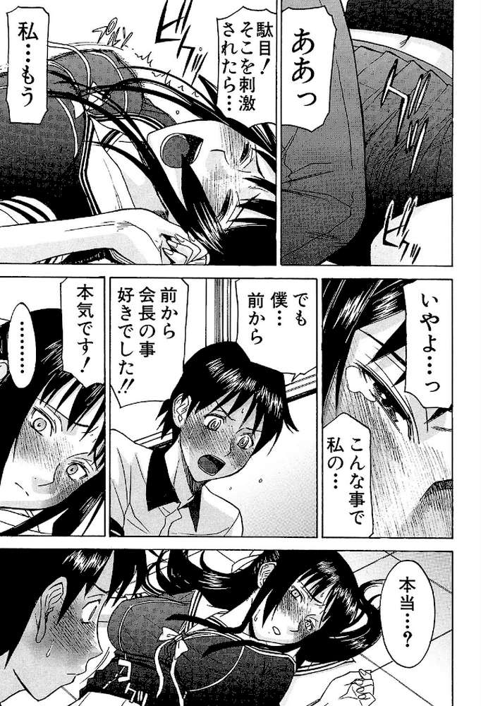 いたずら専用 華比良生徒会長