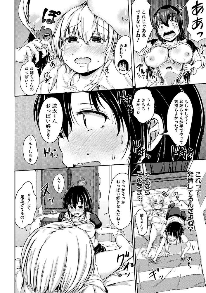 可愛い弟の為なら、私は処女を捨てる！