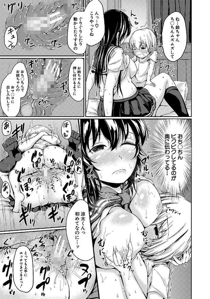 可愛い弟の為なら、私は処女を捨てる！