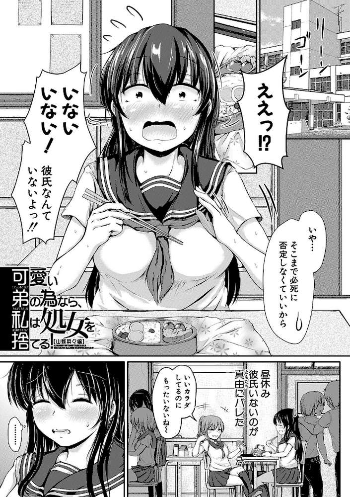 可愛い弟の為なら、私は処女を捨てる！
