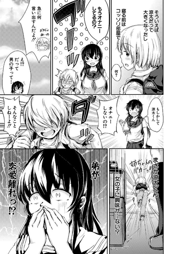 可愛い弟の為なら、私は処女を捨てる！