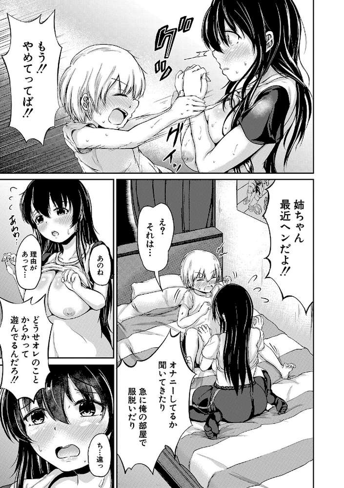 可愛い弟の為なら、私は処女を捨てる！