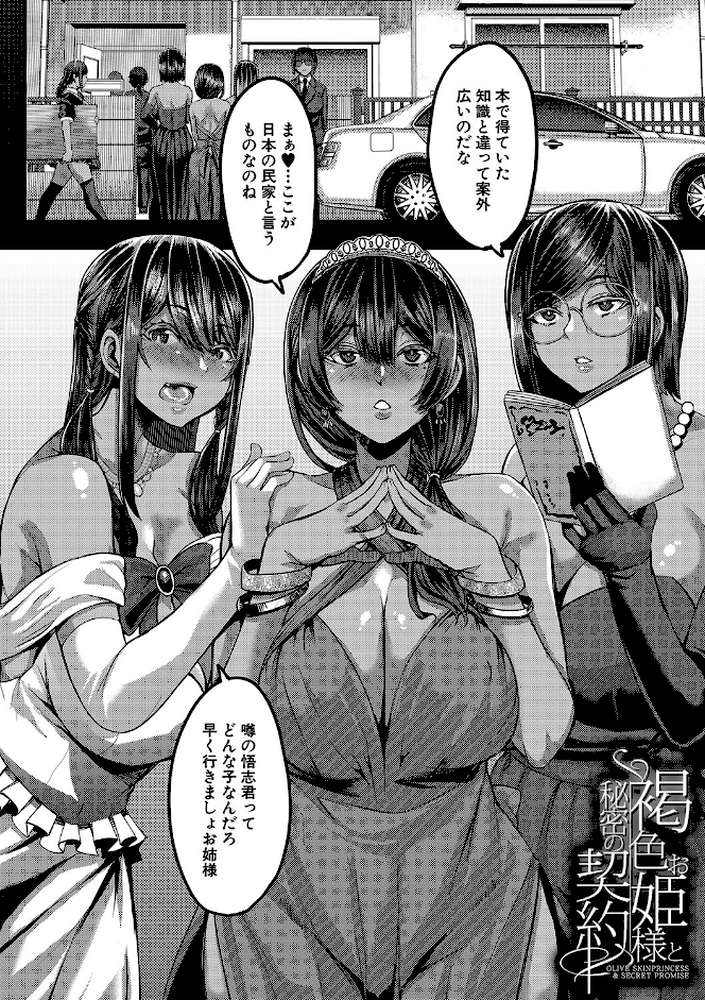 褐色姫と秘密の契約