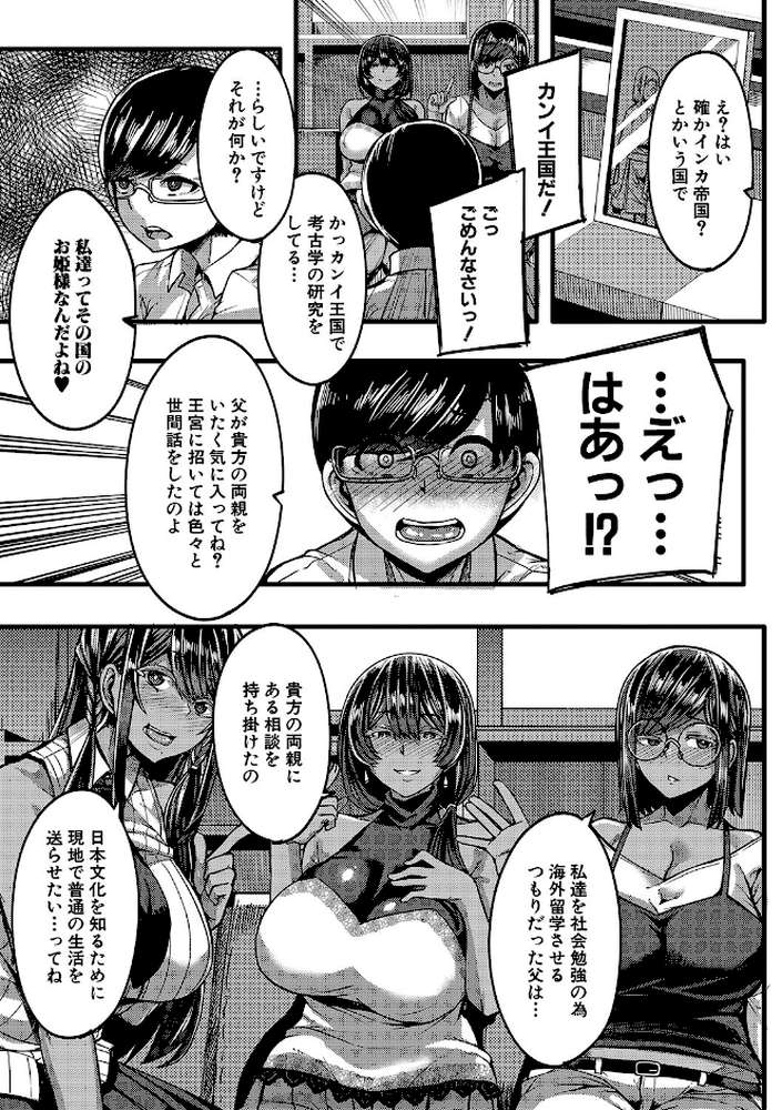褐色姫と秘密の契約