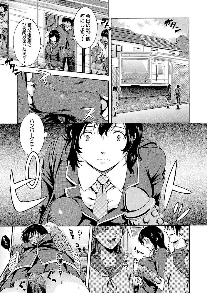 私はこうして犯●れました