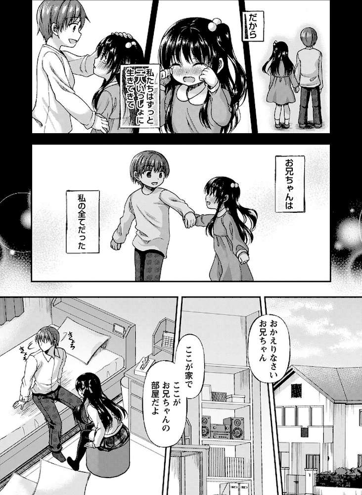 誰にも言えない兄妹相姦 