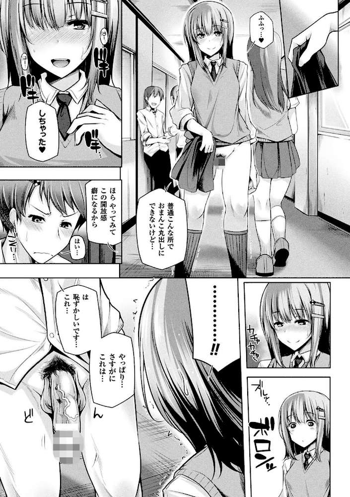 ヒメゴトガジェット