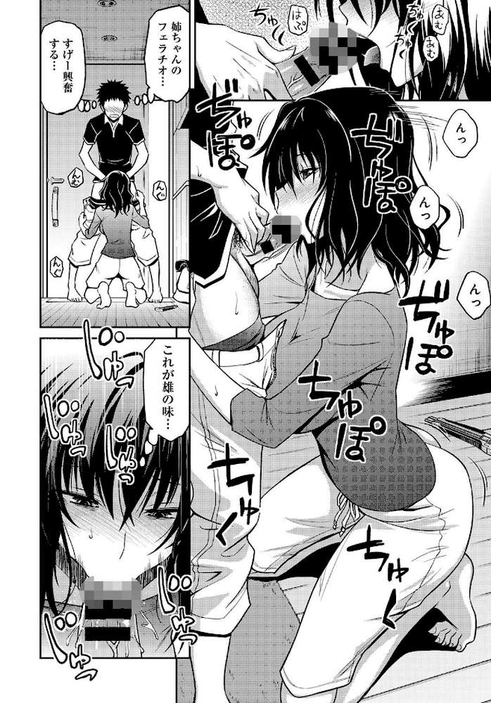 姉ちゃんの逆恨みっくす
