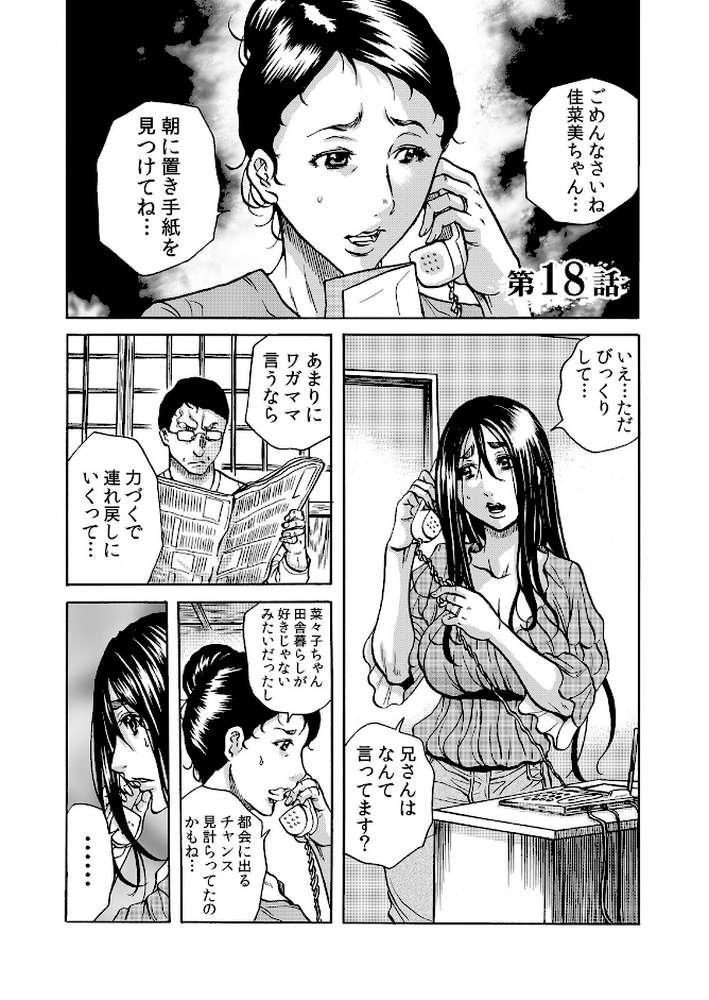 人妻の隠シ事3 