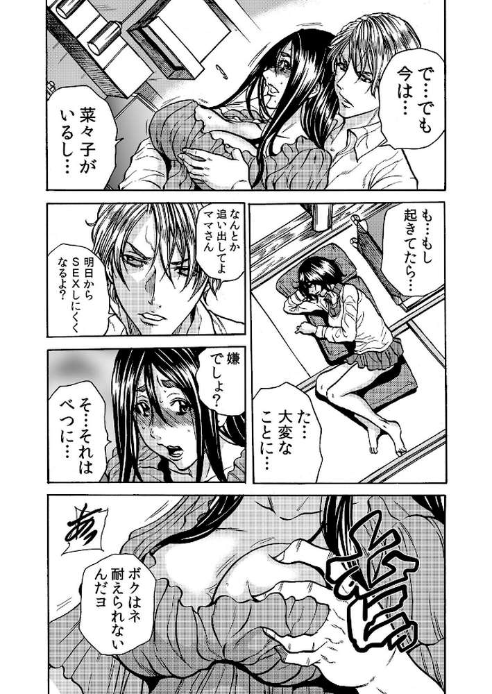 人妻の隠シ事3 
