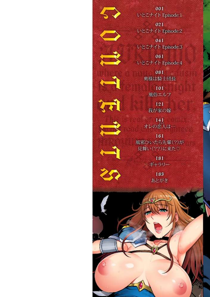 エッチな従姉妹が女騎士でくっ殺なVRMMO記 by 甲斐ひろゆき (p2)