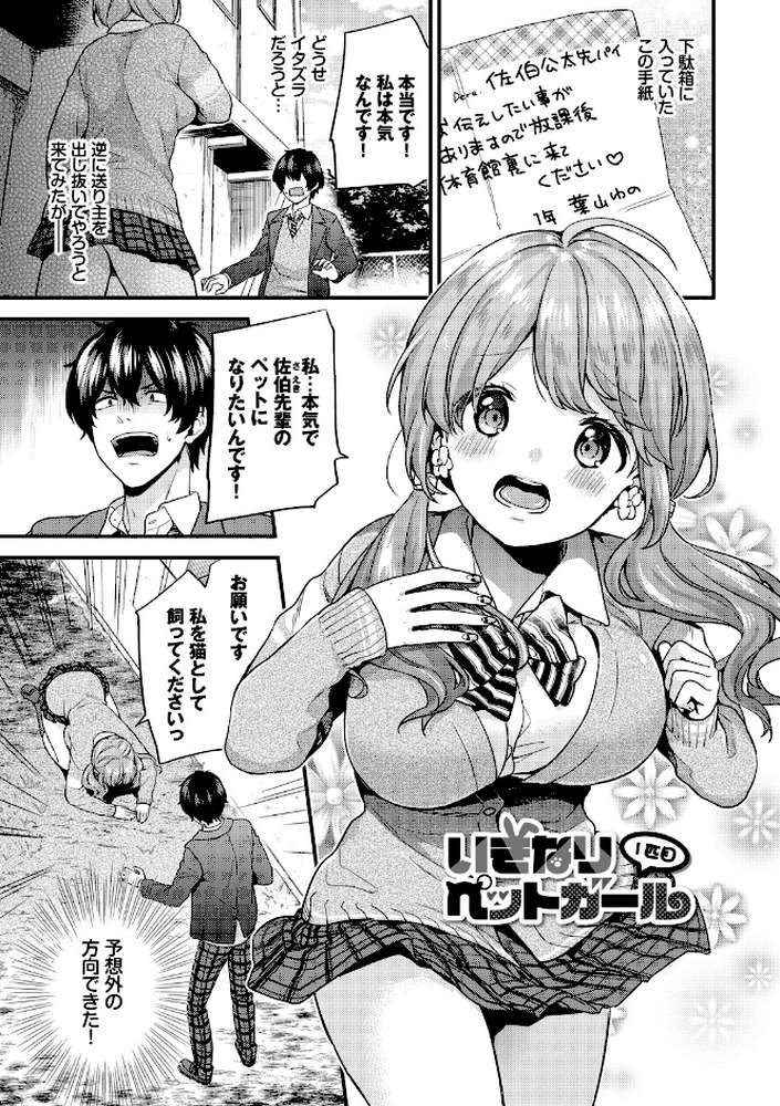 スキコイ