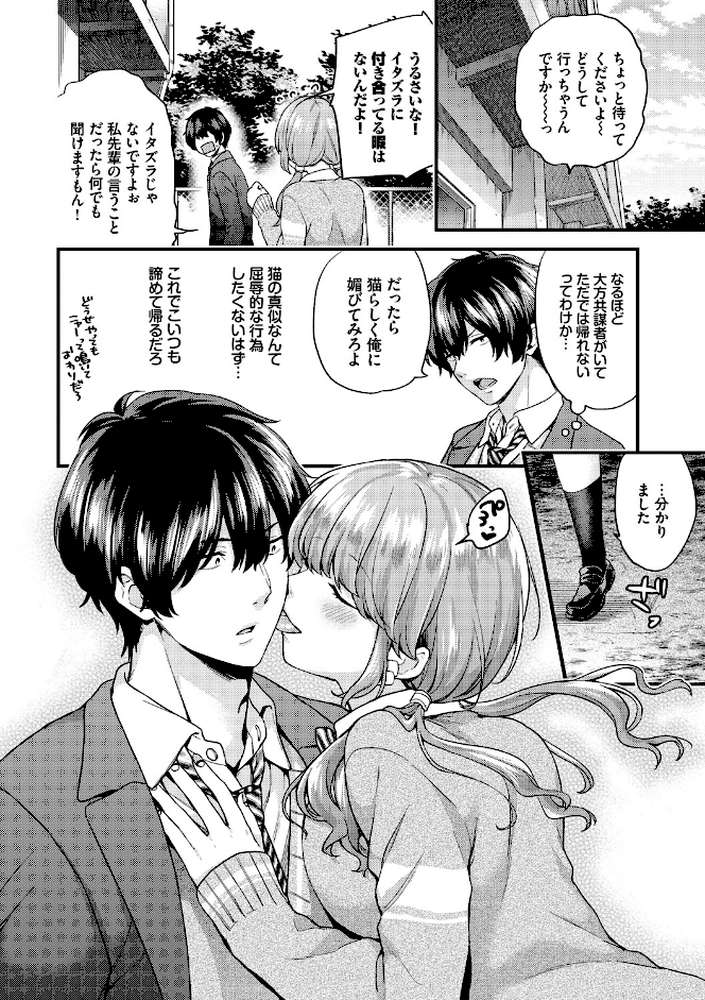 スキコイ