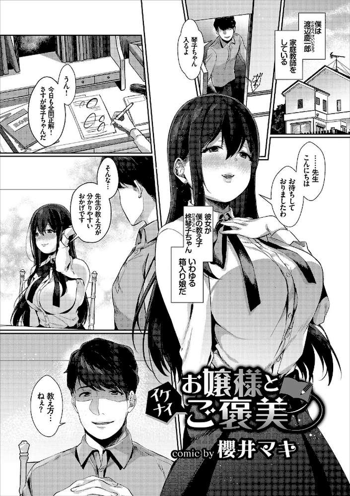 高貴なお嬢様は膣内射精がお好きっ vol.2 高貴なお嬢様を孕まSEXアンソロジー