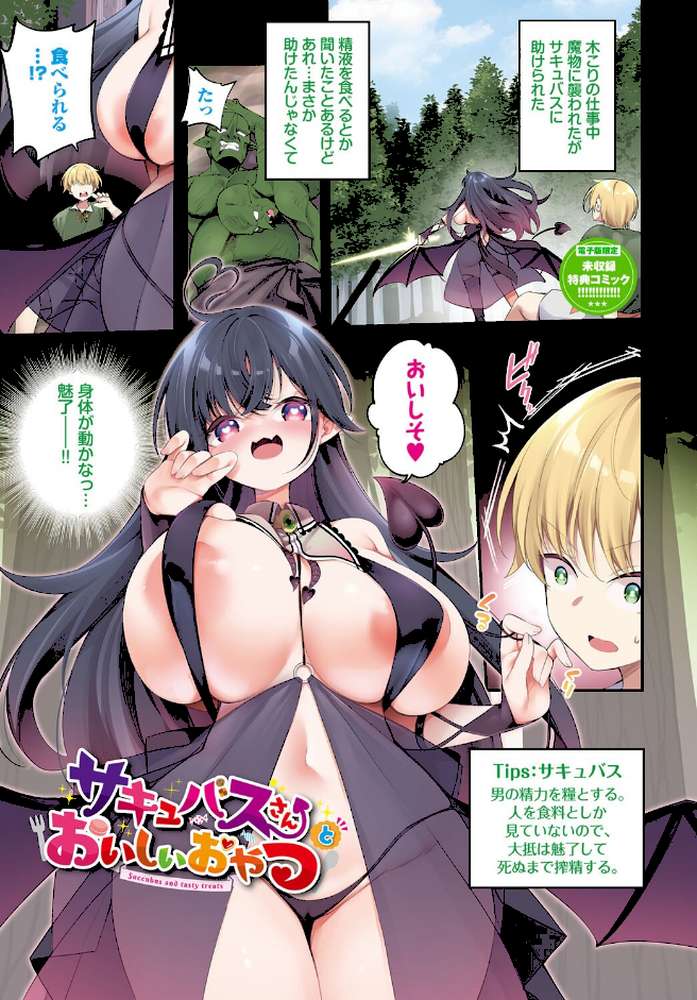 エルフ化の秘薬〜TSメスイキH〜