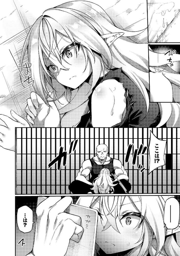 エルフ化の秘薬〜TSメスイキH〜
