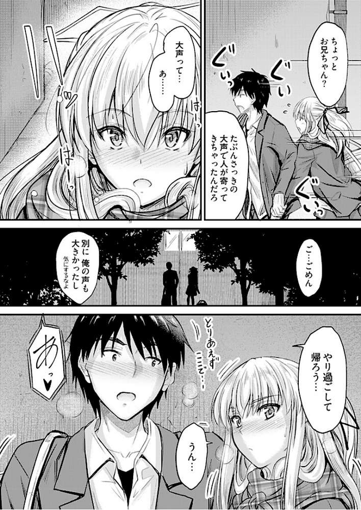 俺と義妹の内緒ごと【描き下ろしおまけ付き特装版】