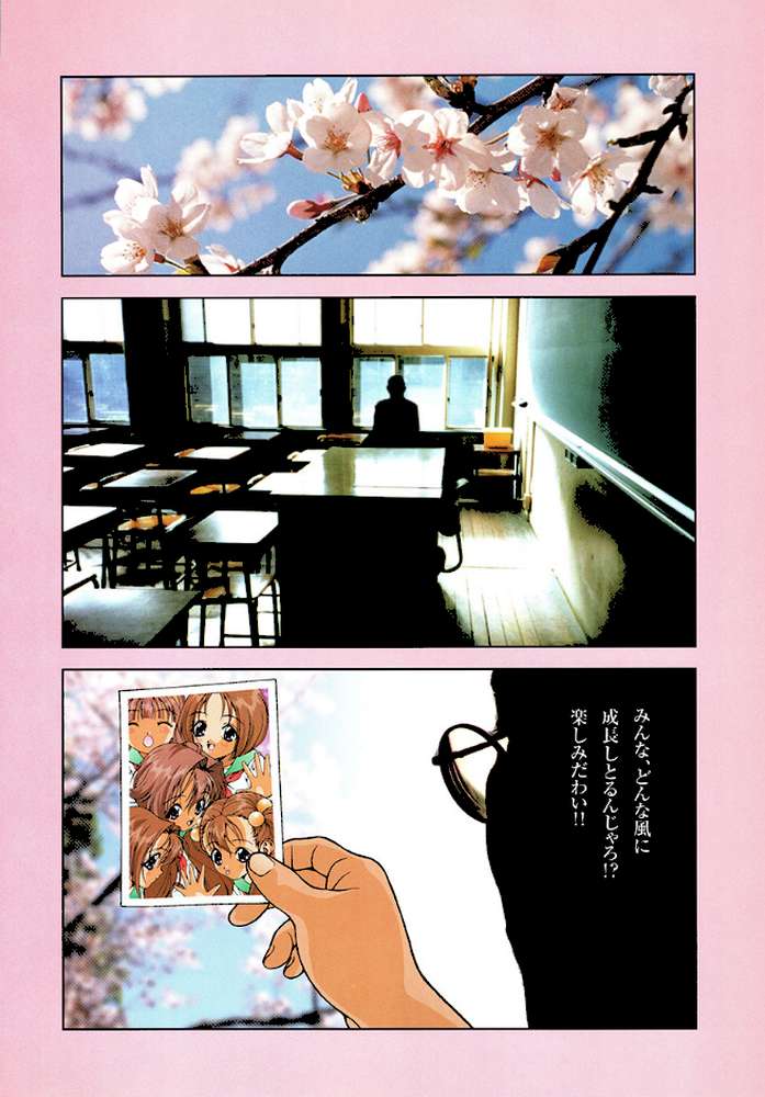 桜んぼ通信