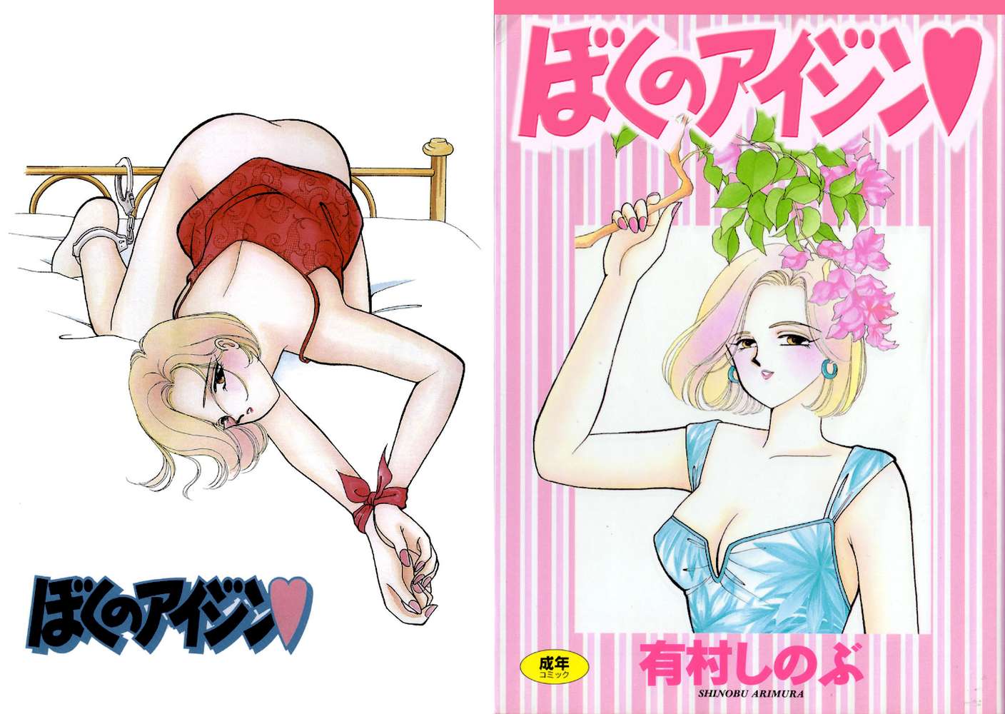 ぼくのアイジン