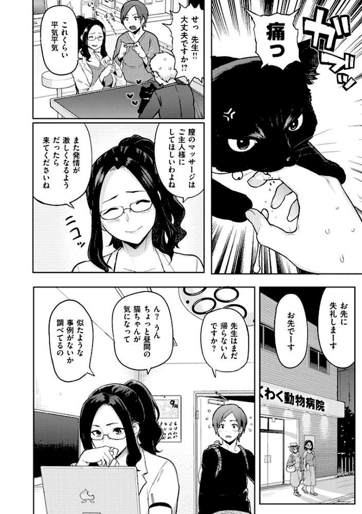 発情警報