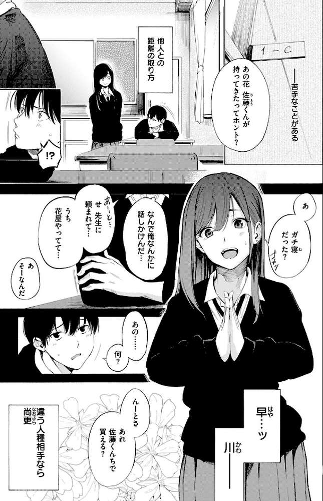 ゼラニウム