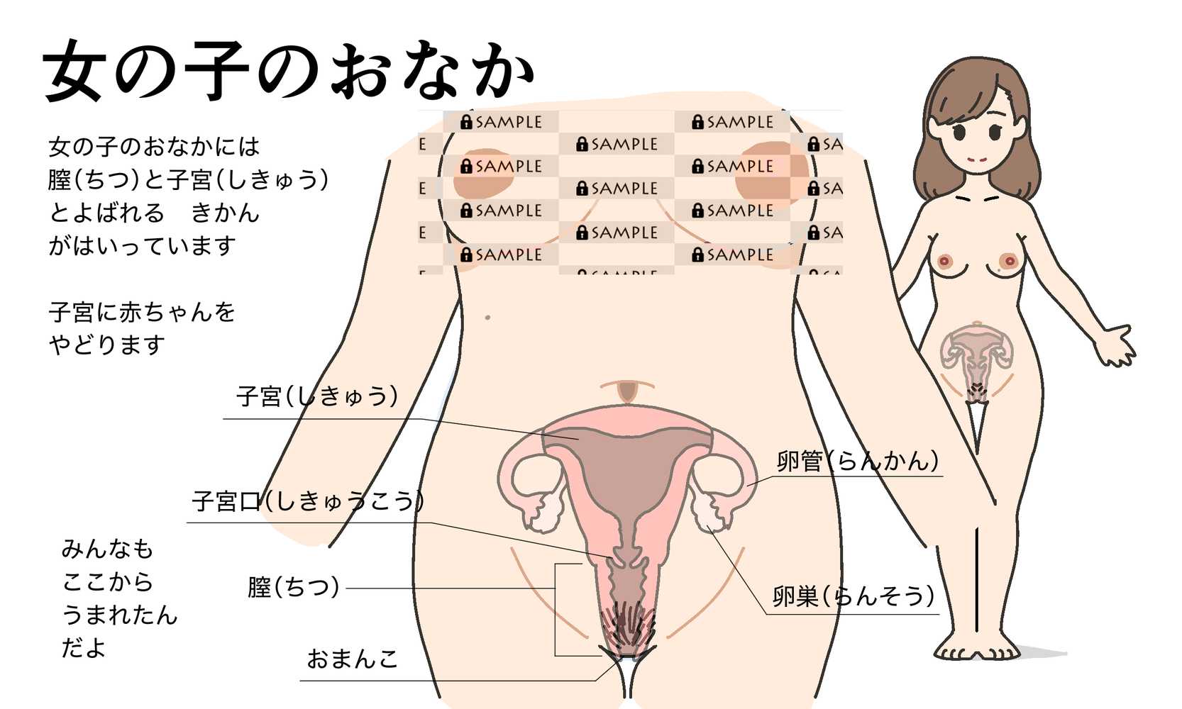 わたしたちのからだ〜こどもができるしくみ〜