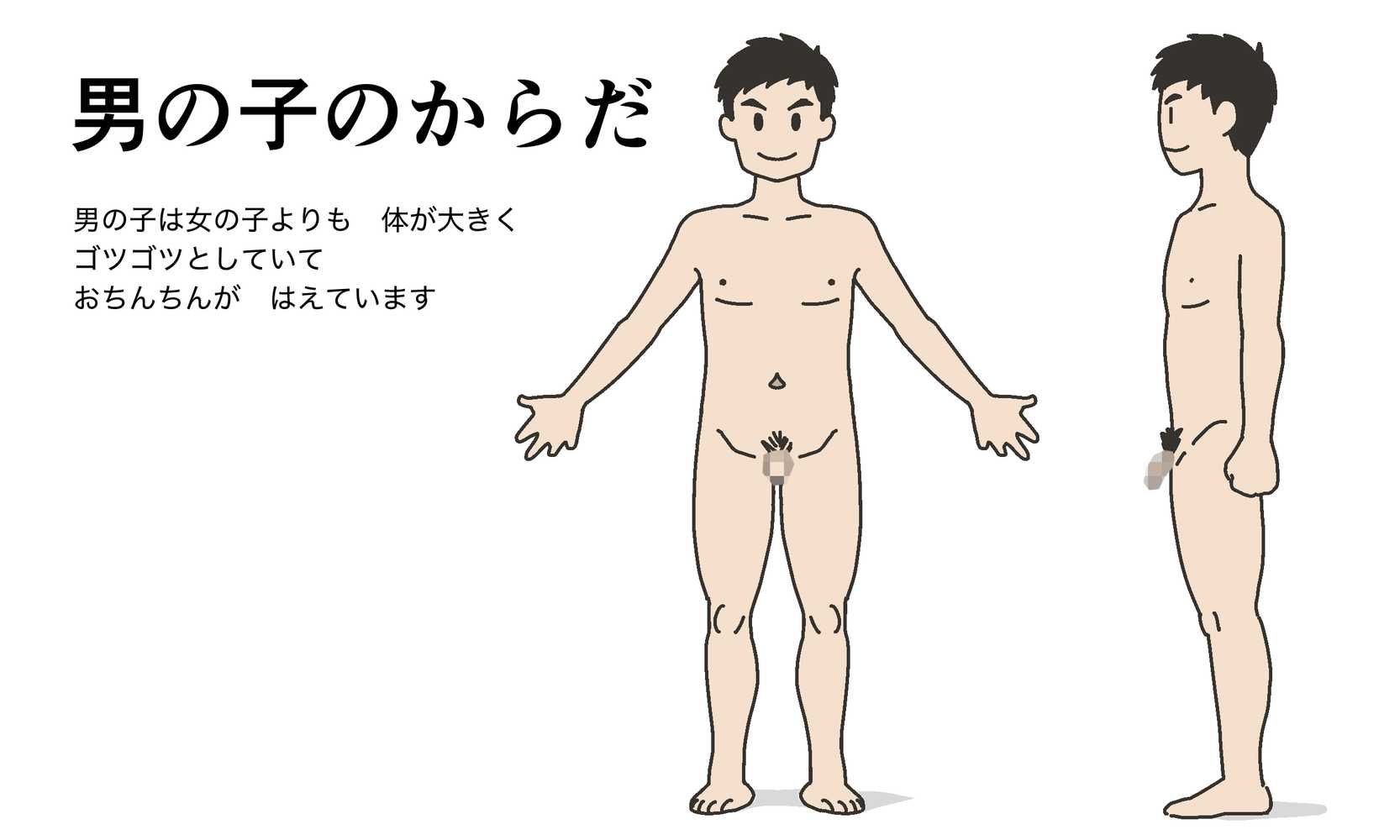 わたしたちのからだ〜こどもができるしくみ〜