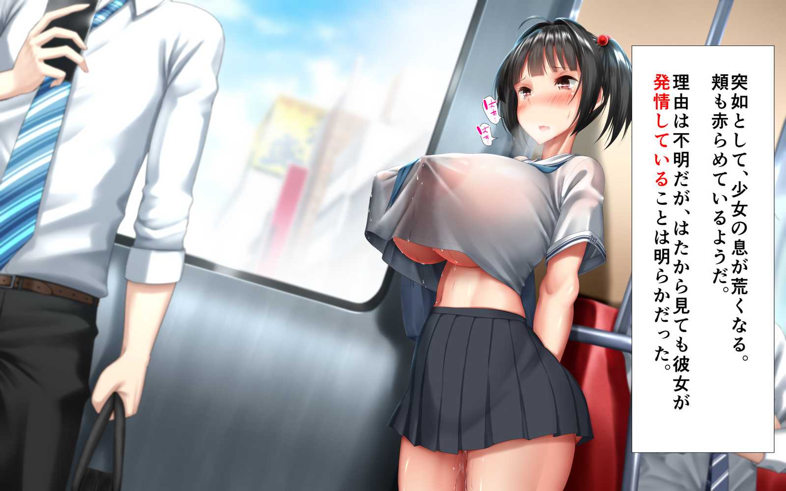 思春期真っ盛り、ギスギス兄妹のイチャラブ子作り日記。