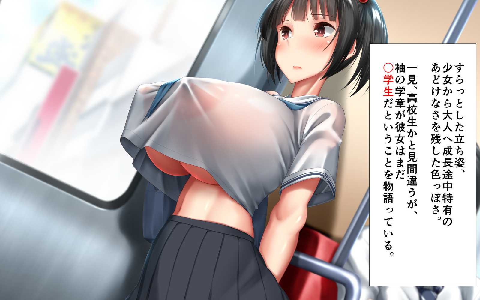 思春期真っ盛り、ギスギス兄妹のイチャラブ子作り日記。