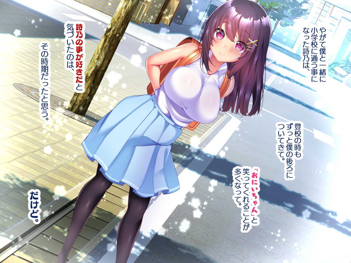 約束 ー義妹・詩乃が僕に隠れてシていた事ー