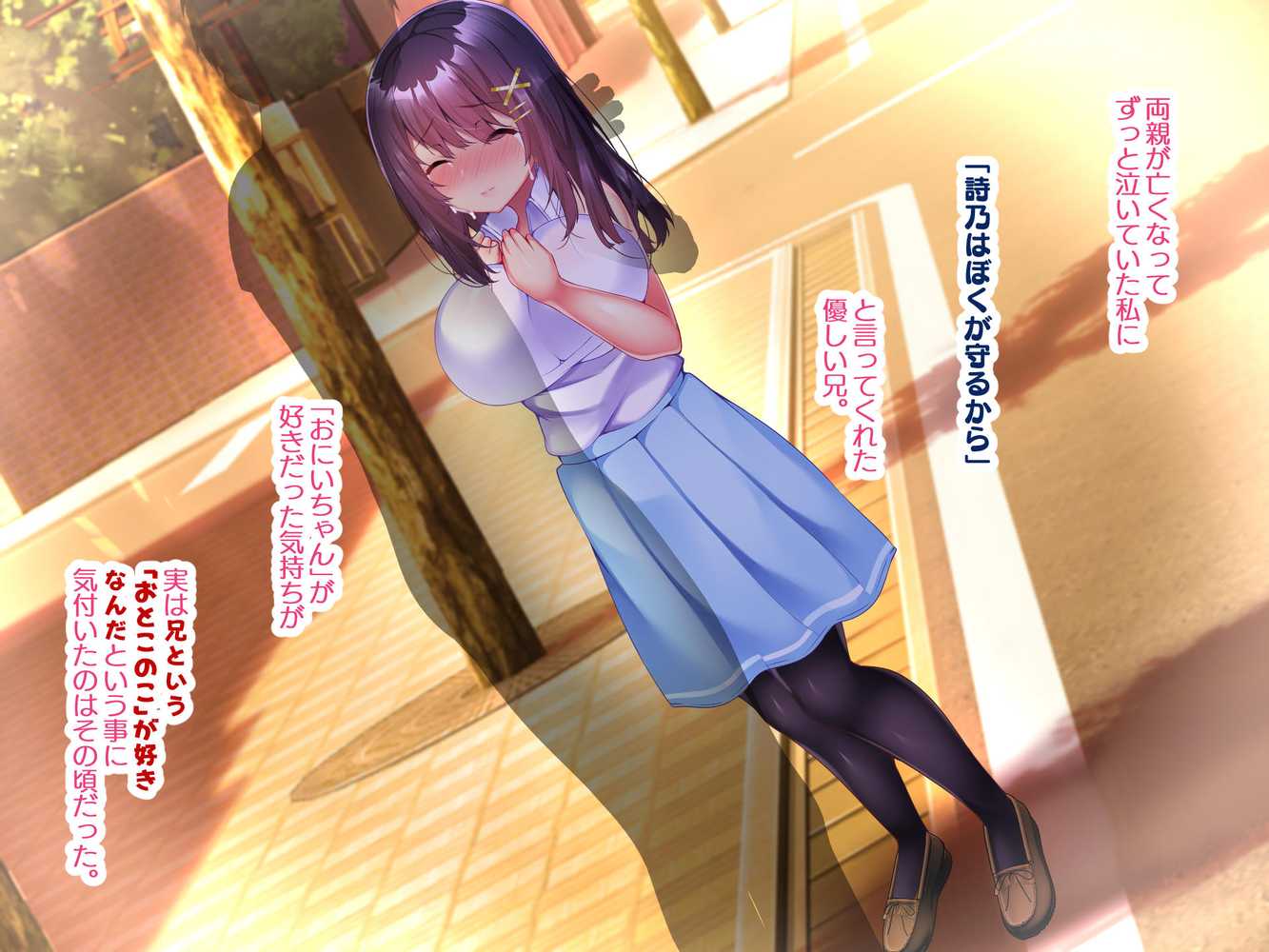 約束 ー義妹・詩乃が僕に隠れてシていた事ー